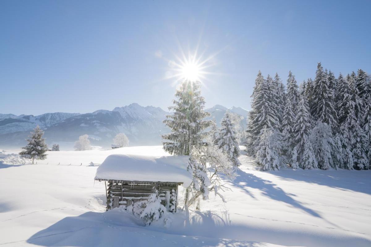 Hotel Sonnhof Neustift im Stubaital Extérieur photo